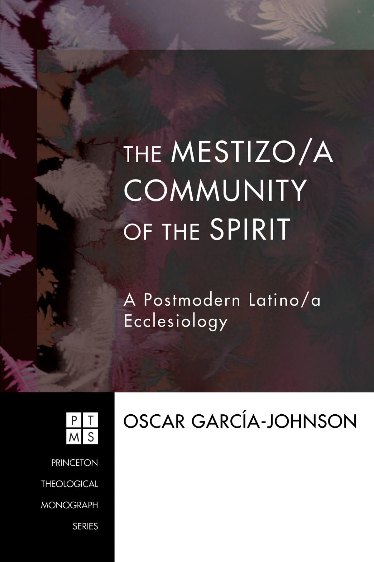 The Mestizo/a Community of the Spirit: A Postmodern Latino/a Ecclesiology (Princeton Theological Monograph),Used