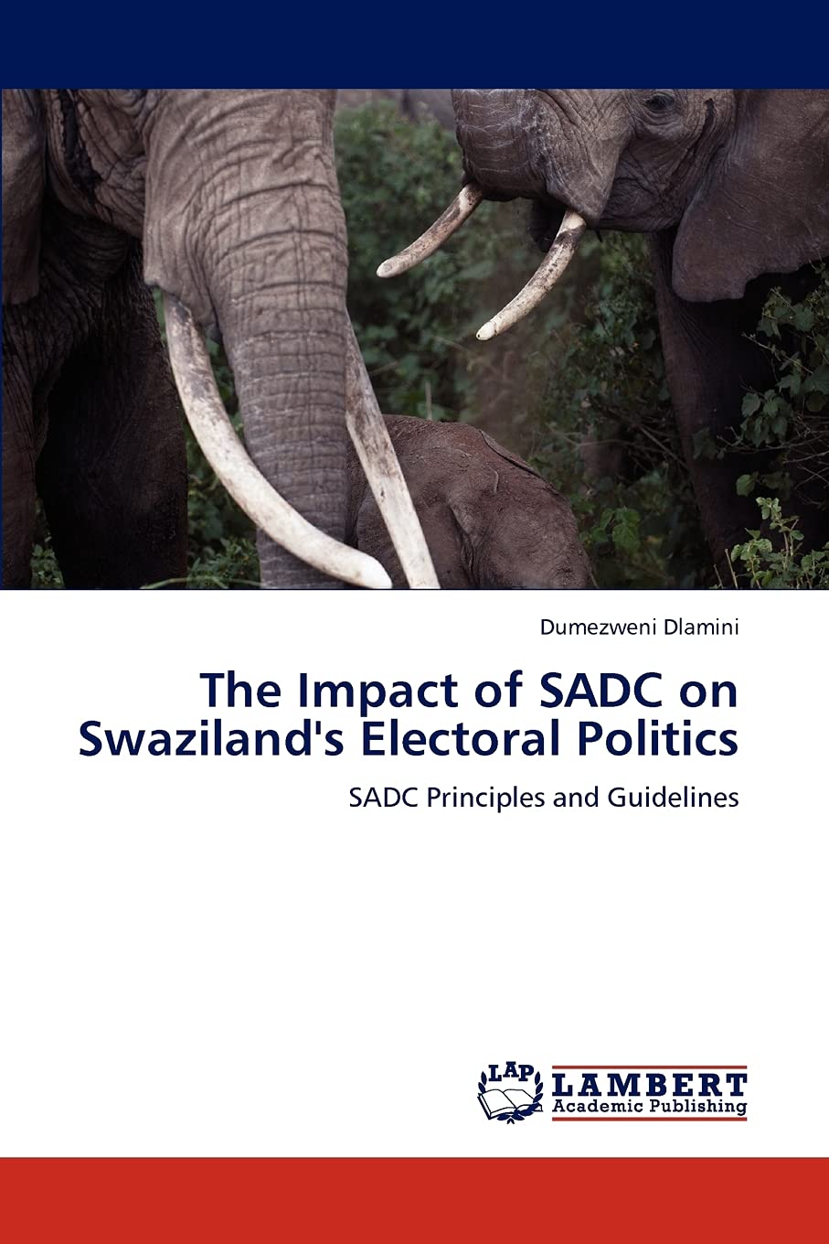 The Impact of SADC on Swaziland's Electoral Politics: SADC Principles and Guidelines,Used