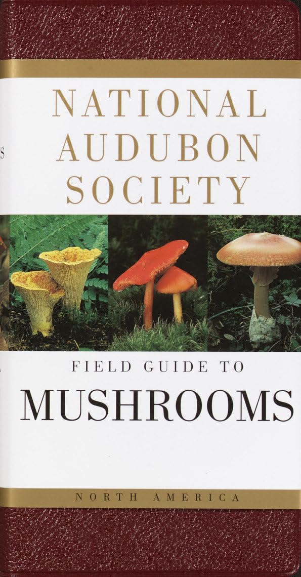 National Audubon Society Field Guide To North American Mushrooms (National Audubon Society Field Guides)-used