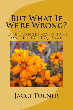 But What If We're Wrong?: One Evangelical's Take on the LGBTQ Issue,Used