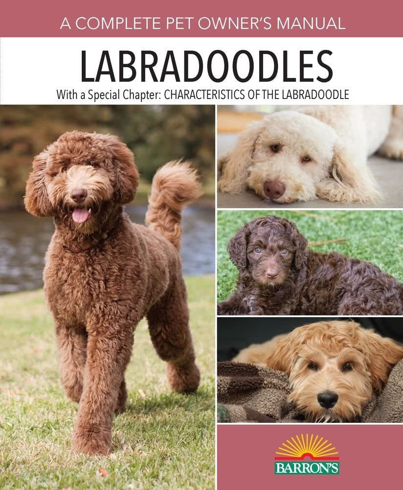 Labradoodles: AZ Guide for Choosing, Preparing for, Raising, Grooming, and Training a Labradoodle Puppy or Dog (Complete Pet Ow,Used