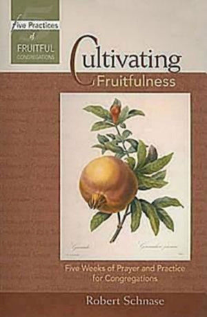 Cultivating Fruitfulness: Five Weeks Of Prayer And Practice For Congregations (Five Practices),Used