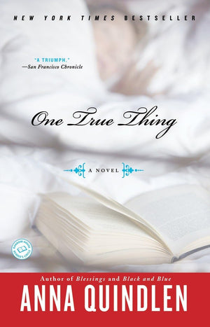 One True Thing: A Novel,Used