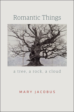 Romantic Things: A Tree, a Rock, a Cloud,Used
