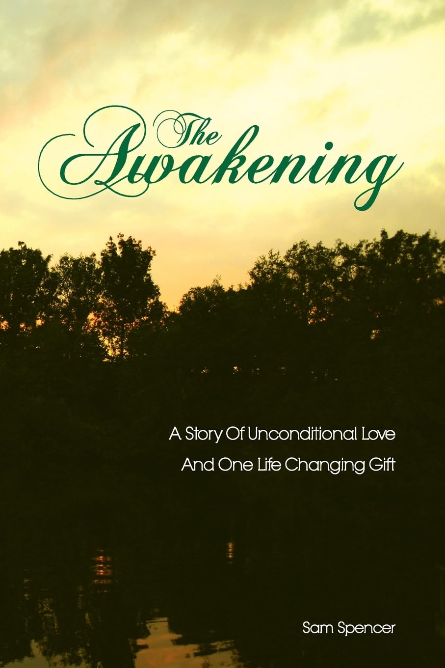 The Awakening: A Story Of Unconditional Love And One Life Changing Gift,New