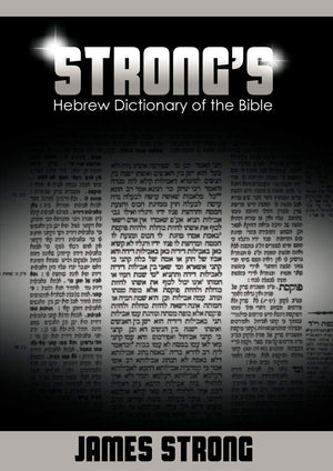 Strong's Hebrew Dictionary of the Bible (Strong's Dictionary) (English and Hebrew Edition),Used