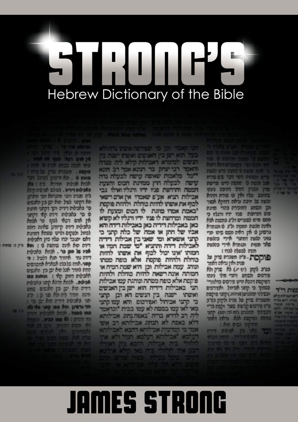 Strong's Hebrew Dictionary of the Bible (Strong's Dictionary) (English and Hebrew Edition),Used