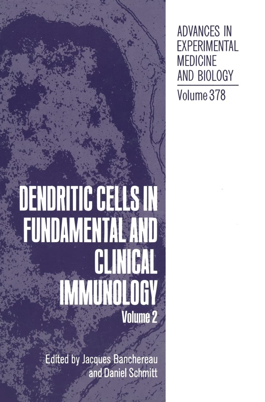 Dendritic Cells in Fundamental and Clinical Immunology: Volume 2 (Advances in Experimental Medicine & Biology (Springer)),Used