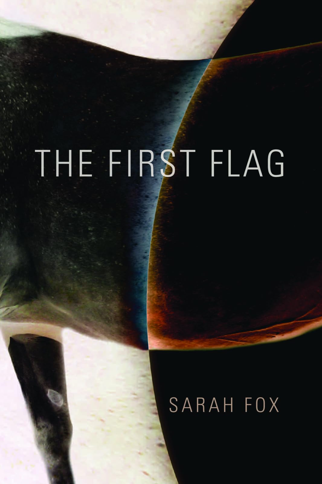 The First Flag,Used
