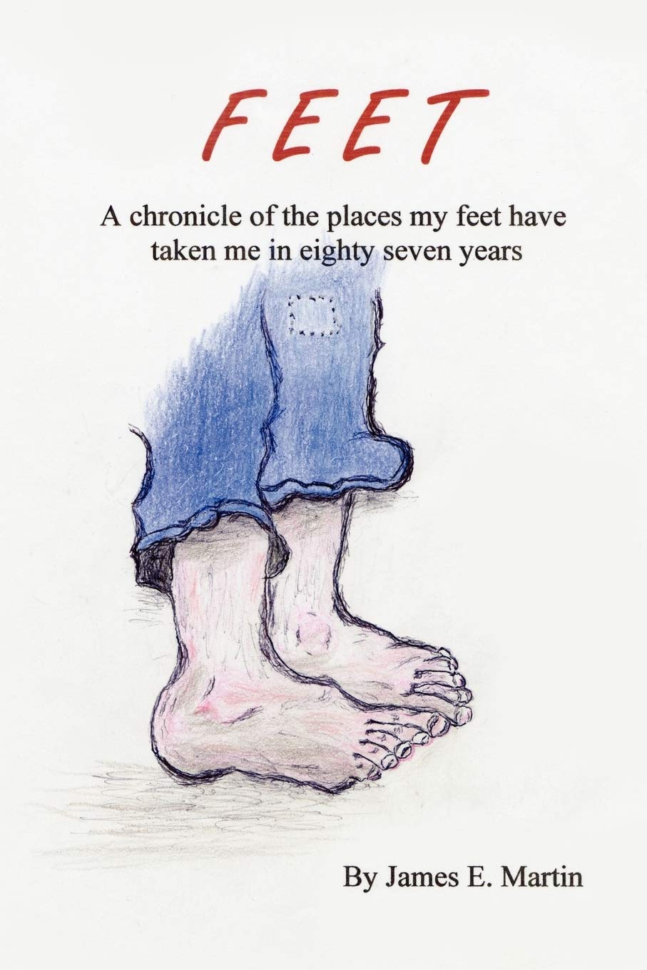 Feet: A Chronicle of Places My Feet Have Taken Me in Eighty Seven Years,Used