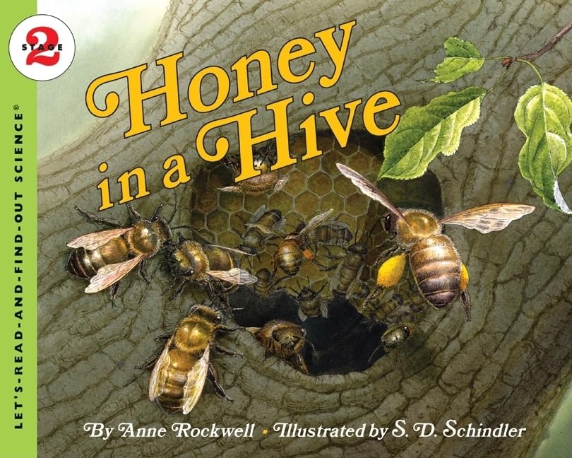 Honey In A Hive (Let'Sreadandfindout Science 2),Used