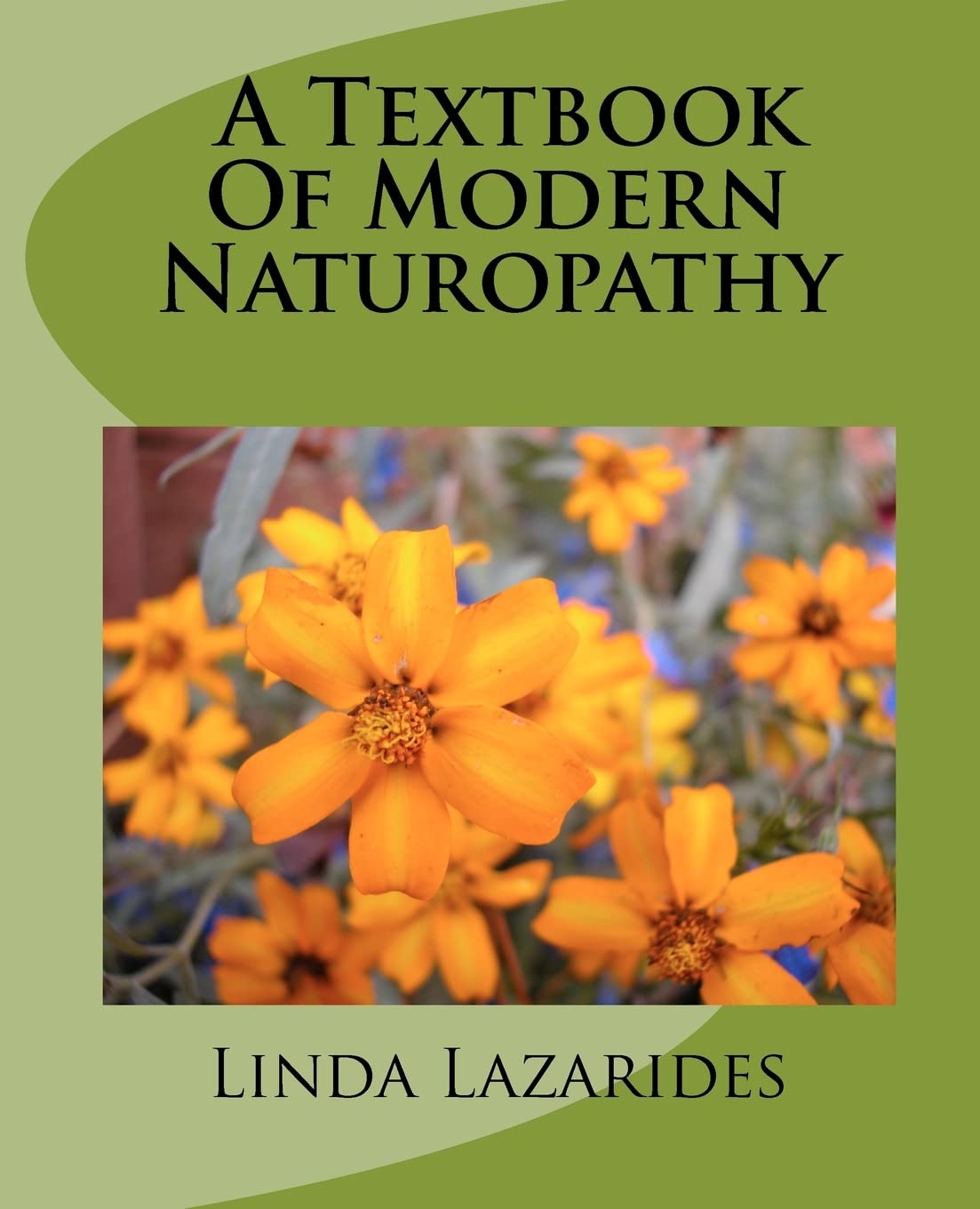 A Textbook of Modern Naturopathy,Used