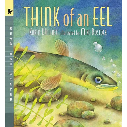 Think of an Eel (Read and Wonder),Used