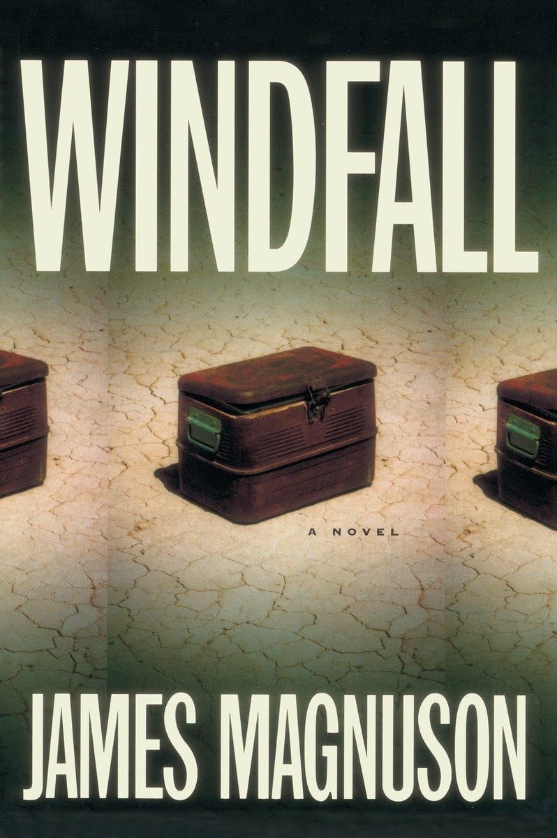 Windfall: A Novel,Used