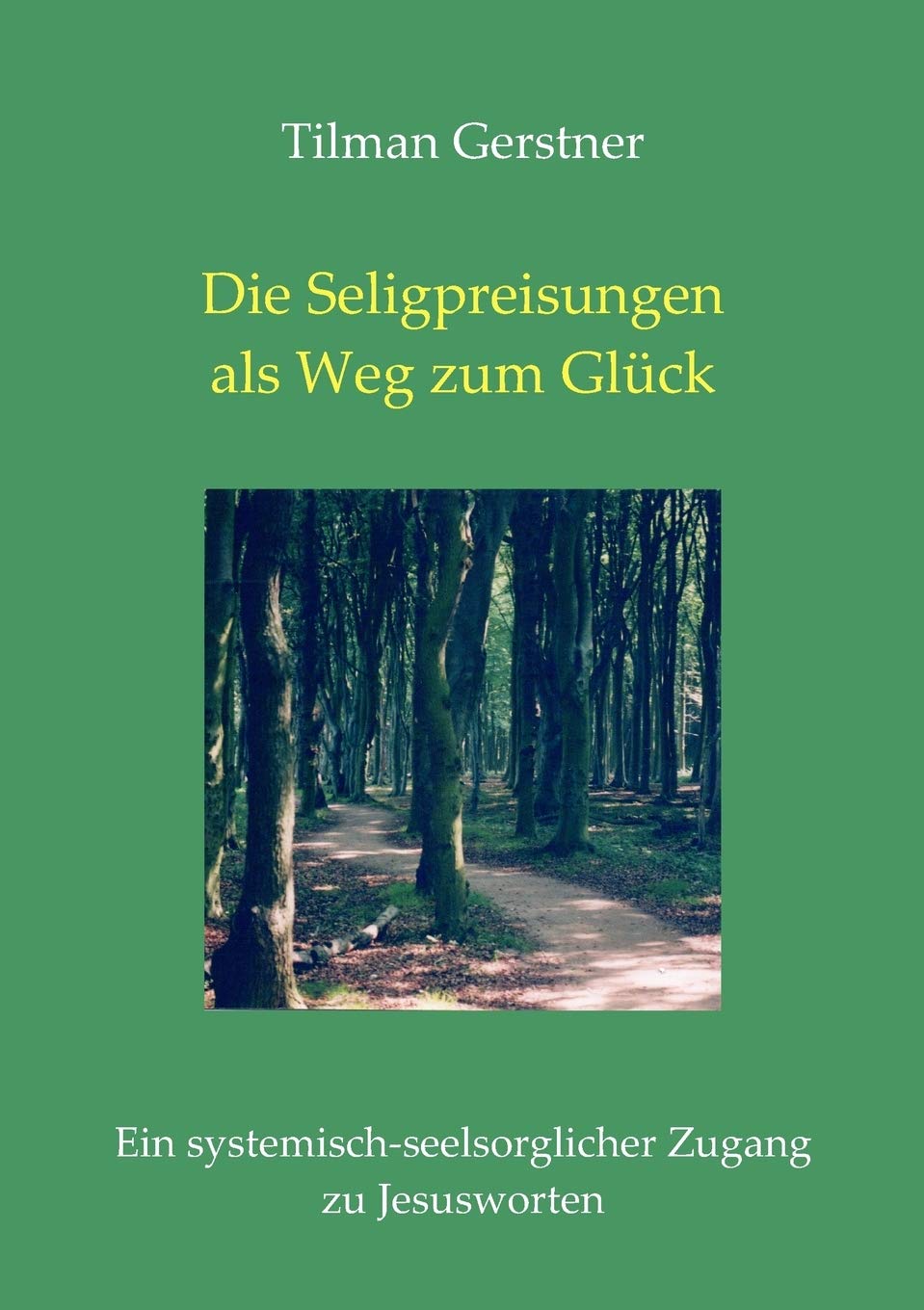 Die Seligpreisungen als Weg zum Glck: Ein systemischseelsorglicher Zugang zu Jesusworten (German Edition),Used