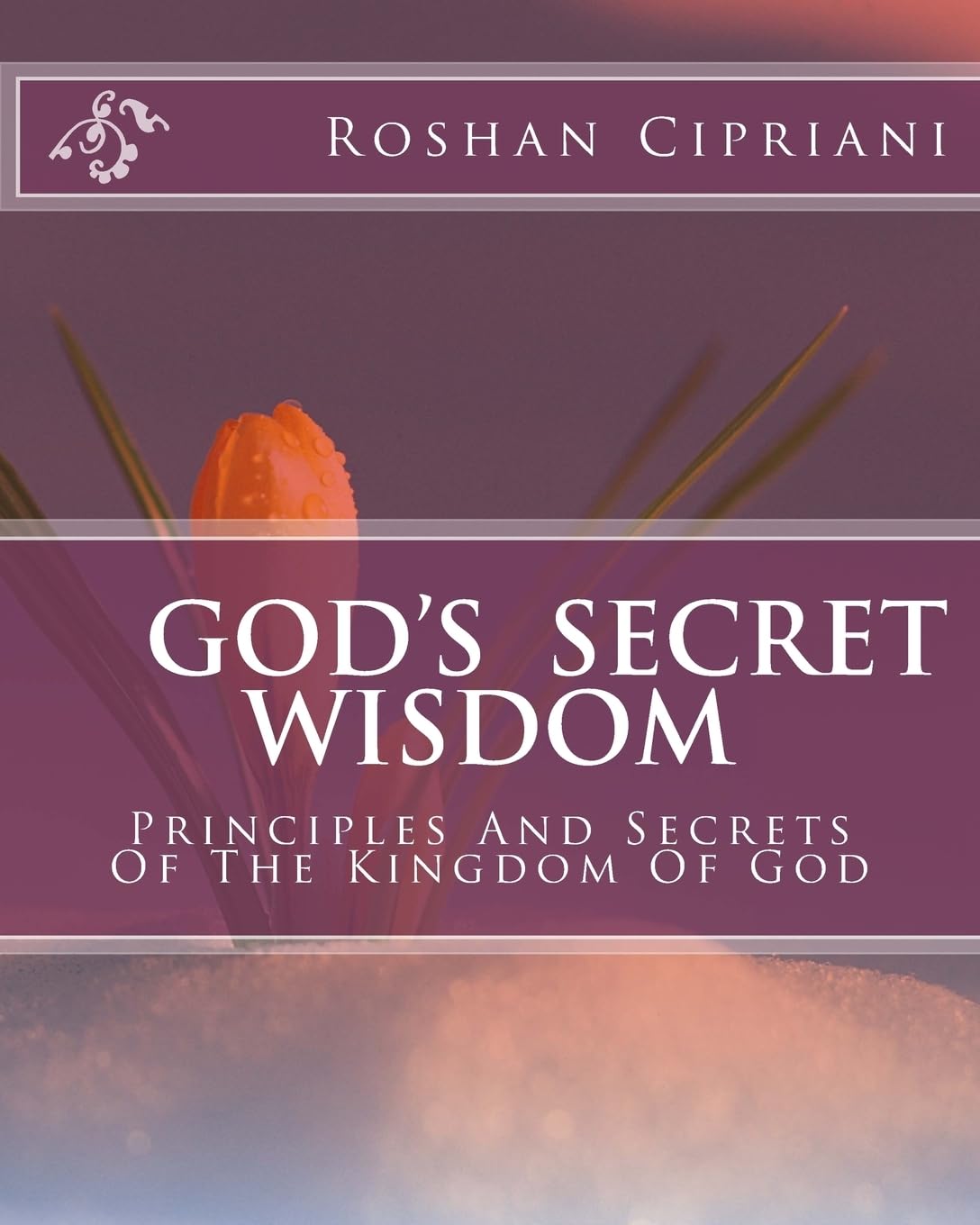 God's Secret Wisdom: Principles And Secrets Of The Kingdom Of God,Used