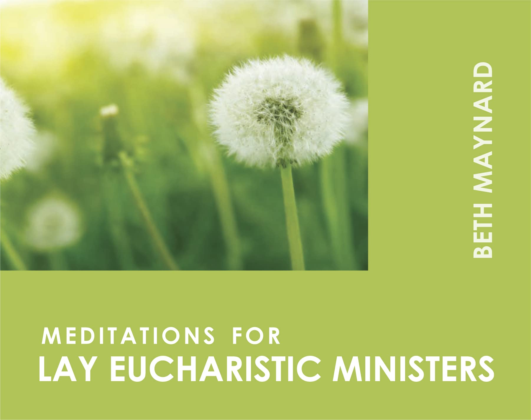 Meditations for Lay Eucharistic Ministers (Faithful Servants),New