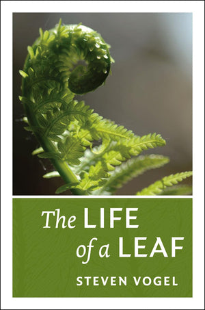 The Life Of A Leaf,New