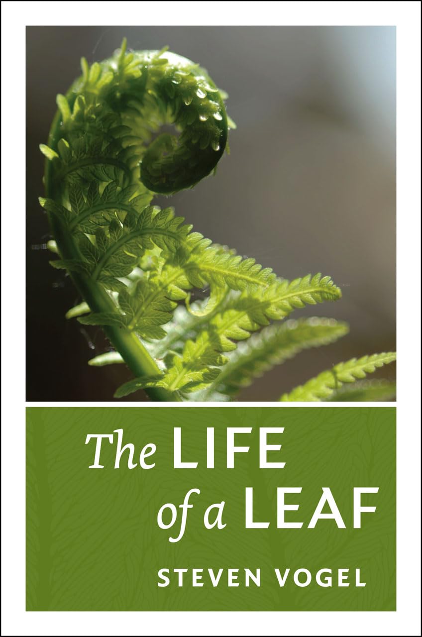 The Life Of A Leaf,New