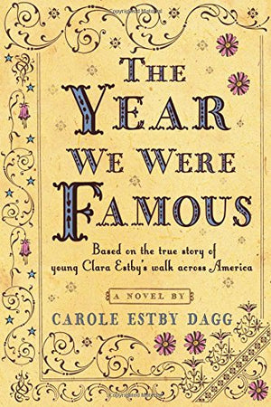 The Year We Were Famous,Used