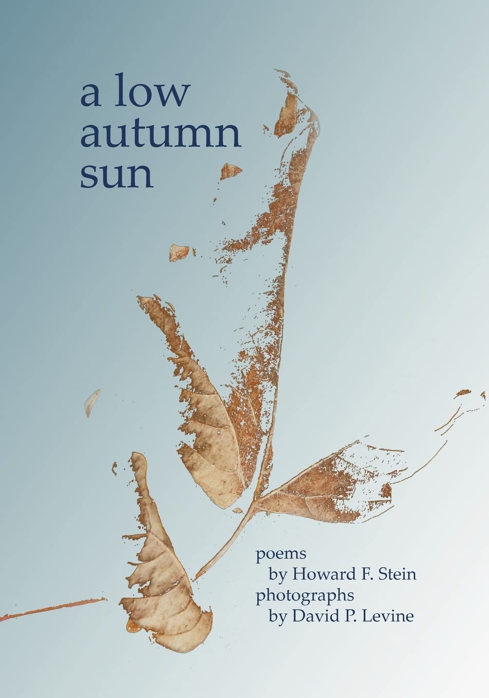 A Low Autumn Sun,Used