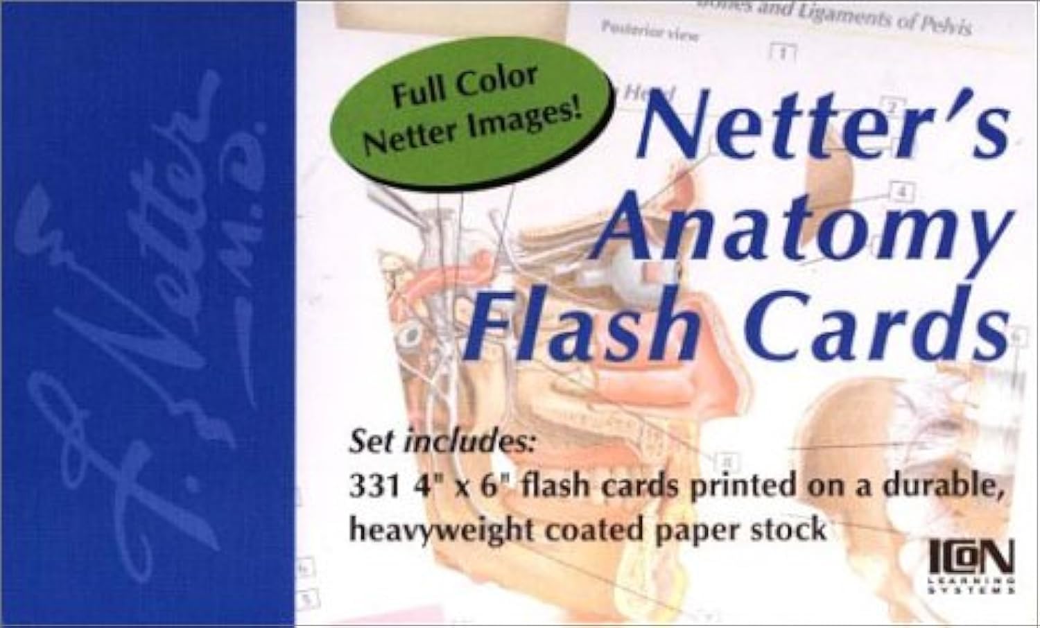 Netter's Anatomy Flash Cards,Used