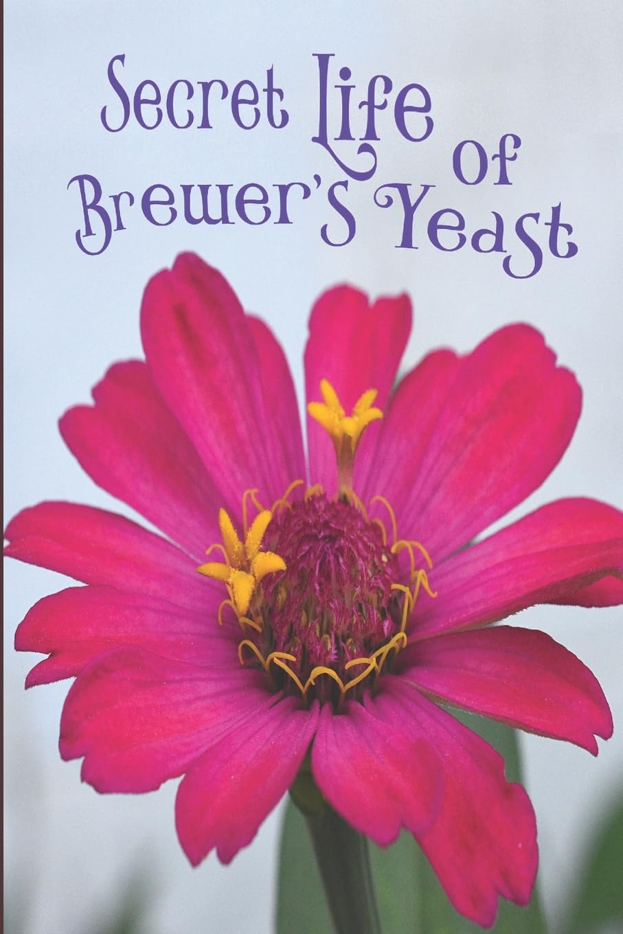 Secret Life of the Brewers Yeast: A Microbiology Tale