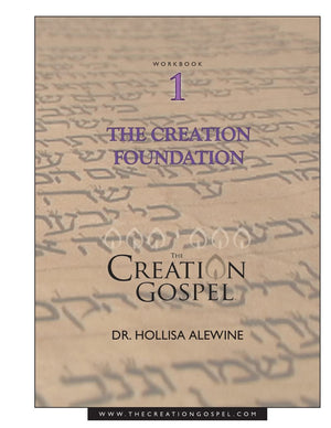 Creation Gospel Workbook One: The Creation Foundation (The Creation Gospel),Used