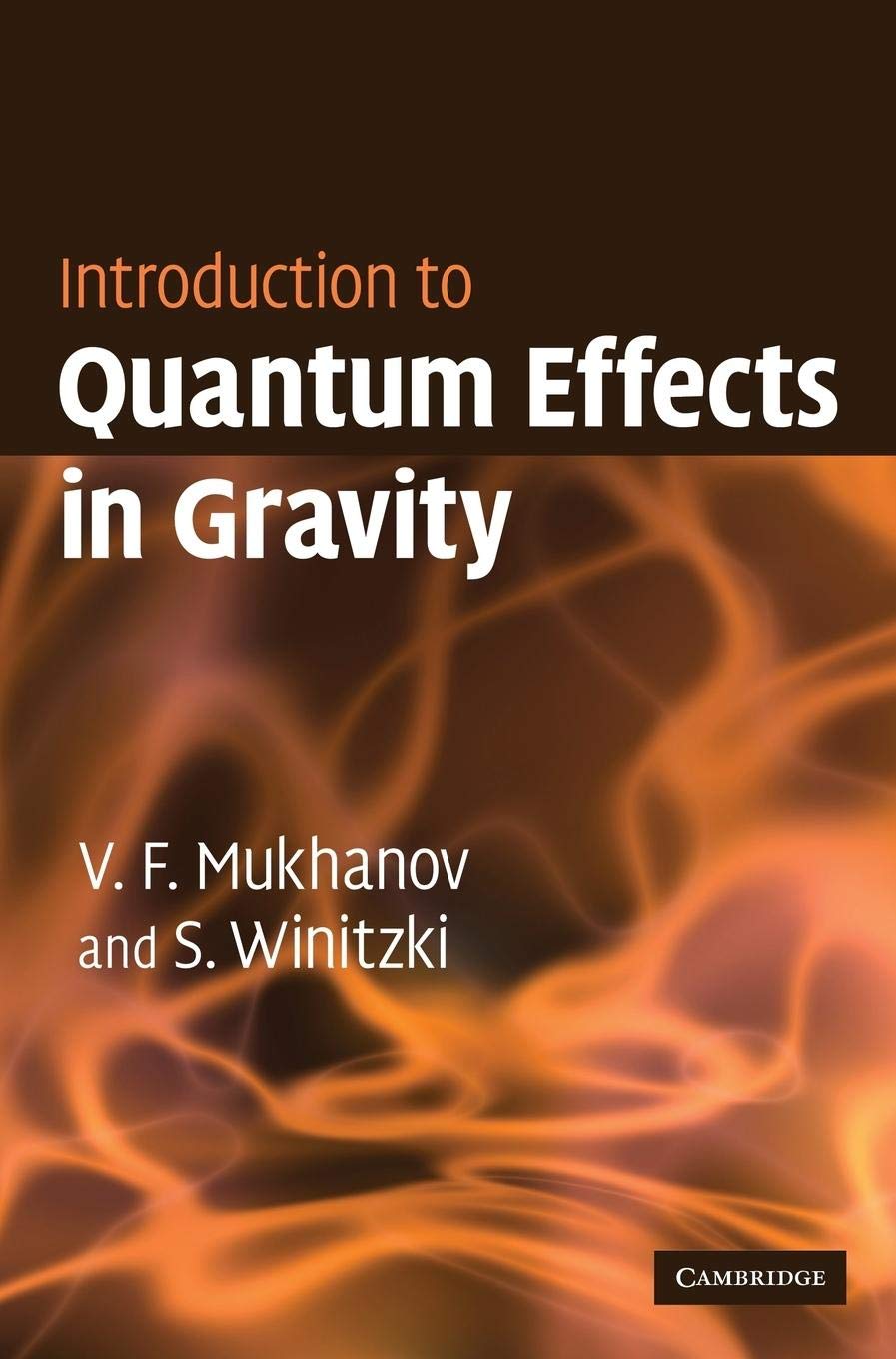 Introduction to Quantum Effects in Gravity,Used