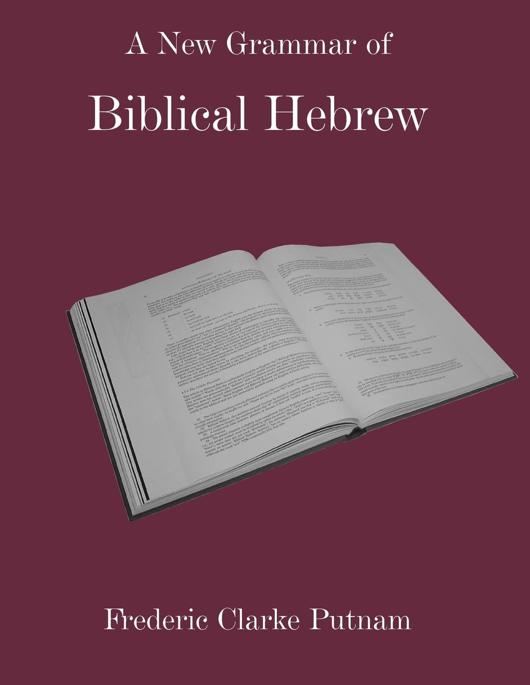 A New Grammar Of Biblical Hebrew,Used