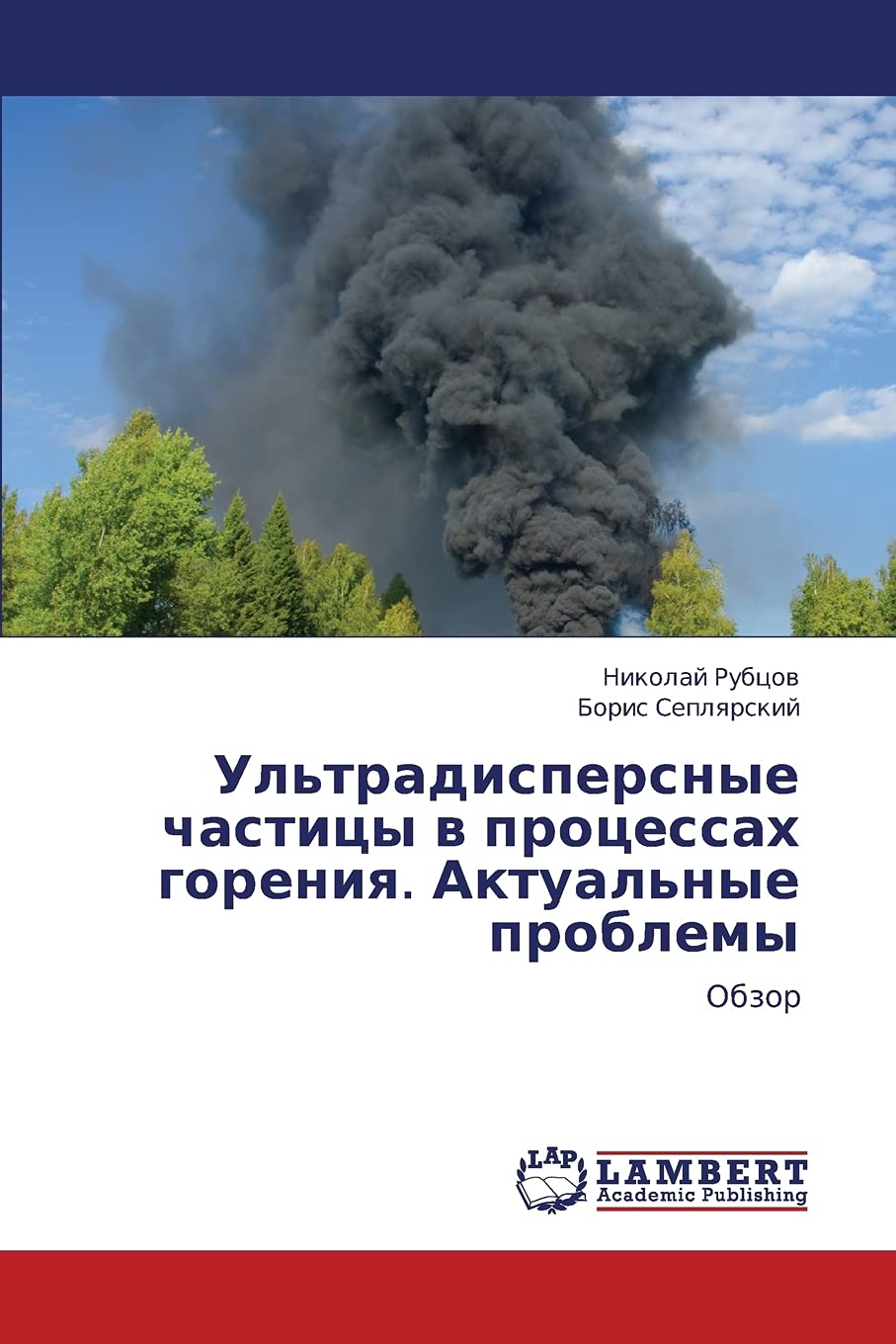 Ul'tradispersnye chastitsy v protsessakh goreniya. Aktual'nye problemy: Obzor (Russian Edition),Used