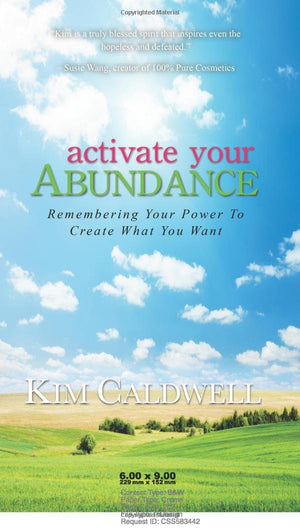 Activate Your Abundance Remembering Your Power To Create What You Want,Used
