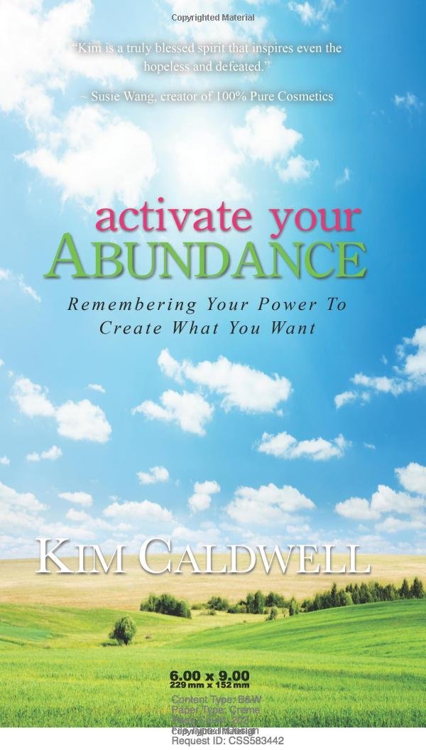 Activate Your Abundance Remembering Your Power To Create What You Want,Used