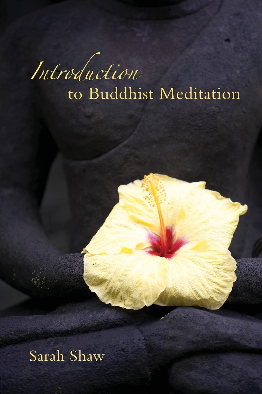 Introduction to Buddhist Meditation,New