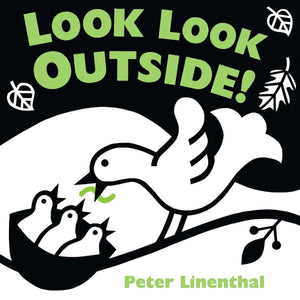 Look Look Outside,Used