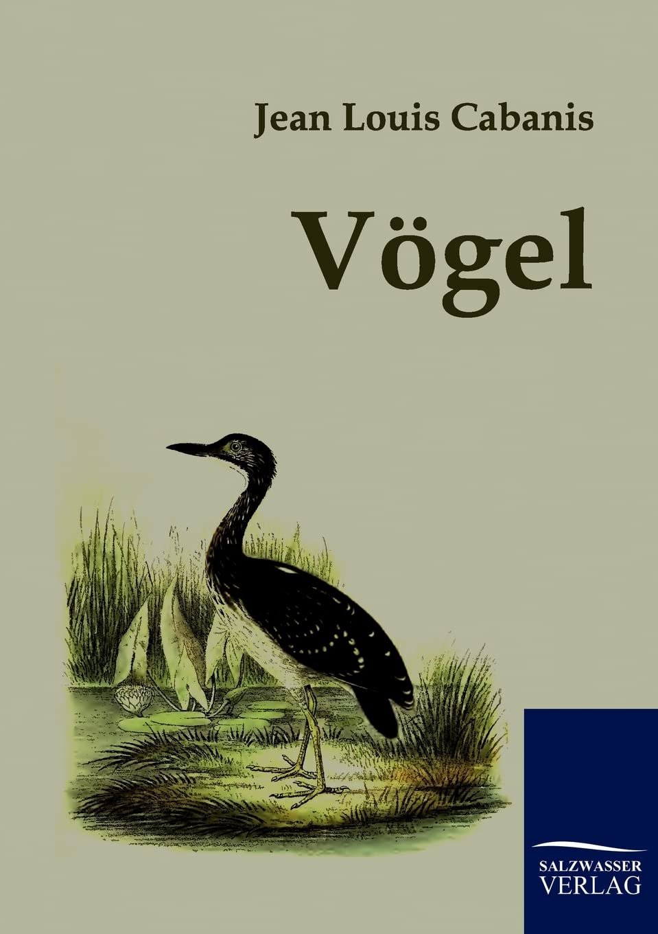 Vgel (German Edition),Used