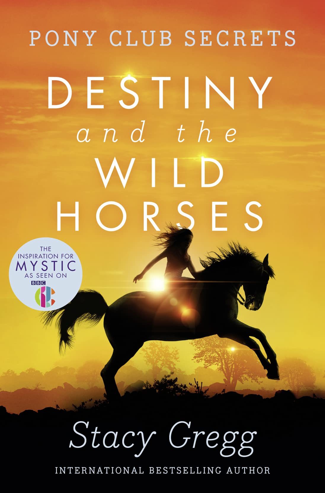 Destiny and the Wild Horses (Pony Club Secrets, Book 3),Used