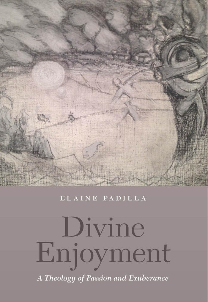 Divine Enjoyment: A Theology of Passion and Exuberance,Used