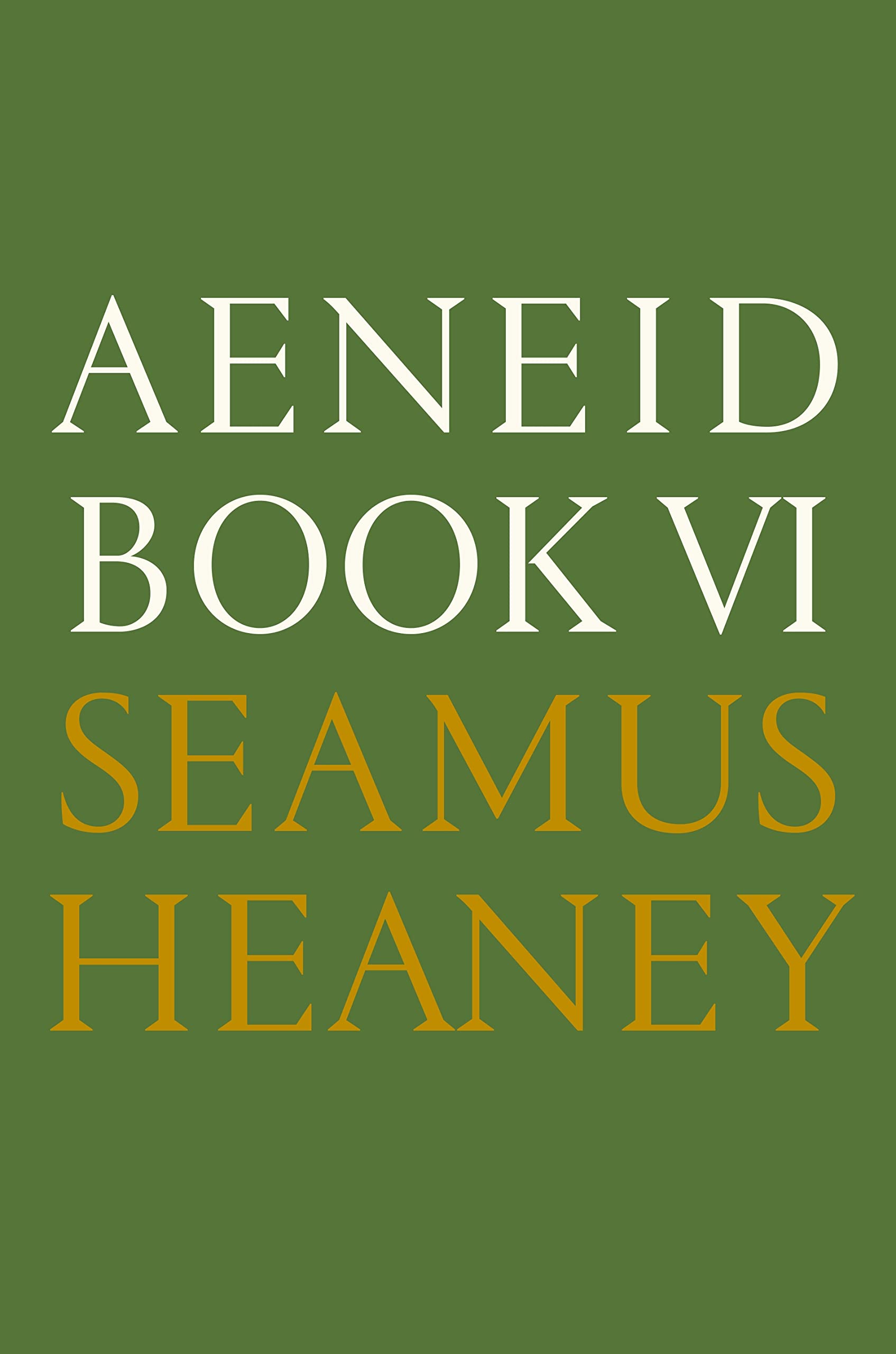 Aeneid Book VI: A New Verse Translation,Used