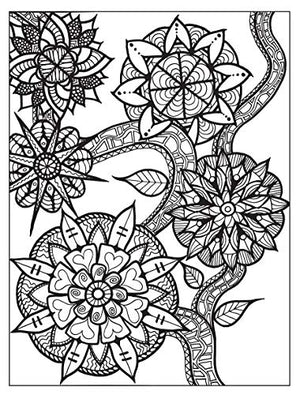 Zendala Coloring Book (Dover Mandala Coloring Books),Used