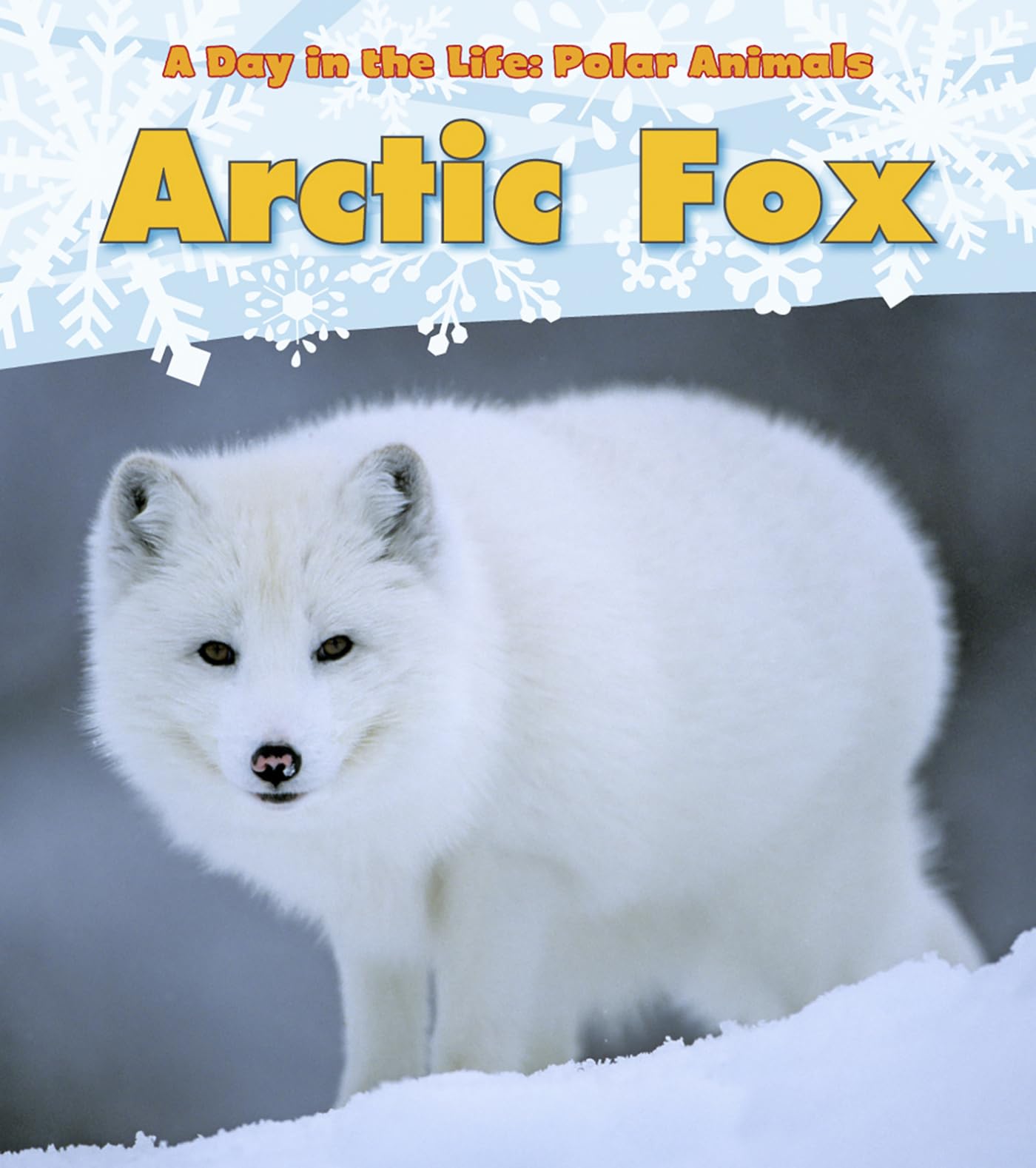 Arctic Fox (A Day in the Life: Polar Animals: Heinemann Read and Learn: Level K),New