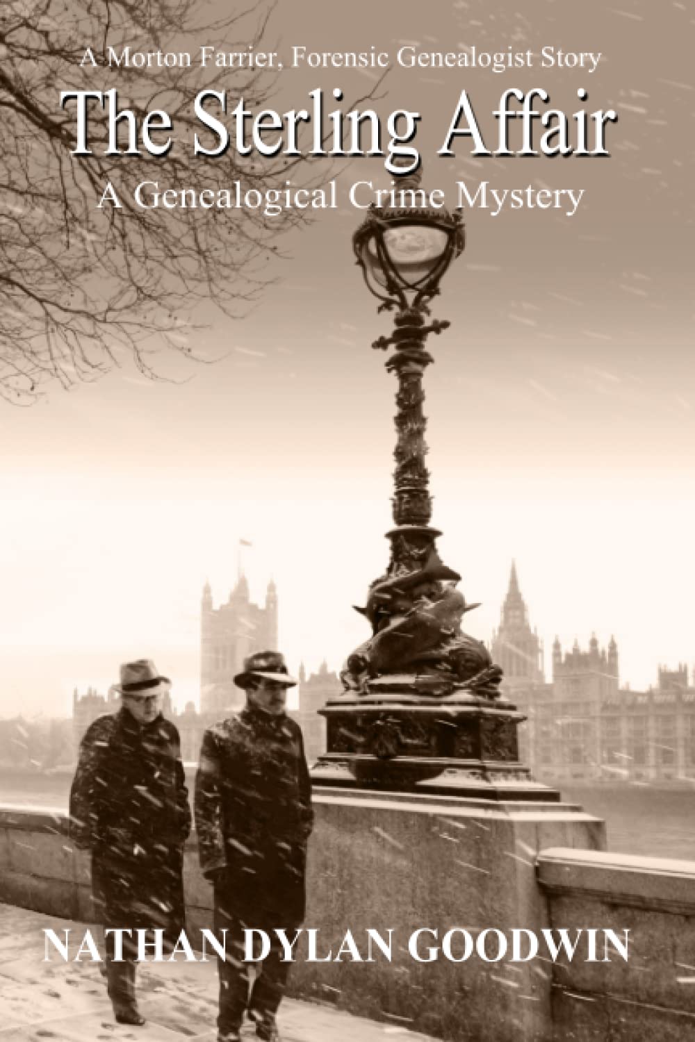 The Sterling Affair (The Forensic Genealogist Series),Used