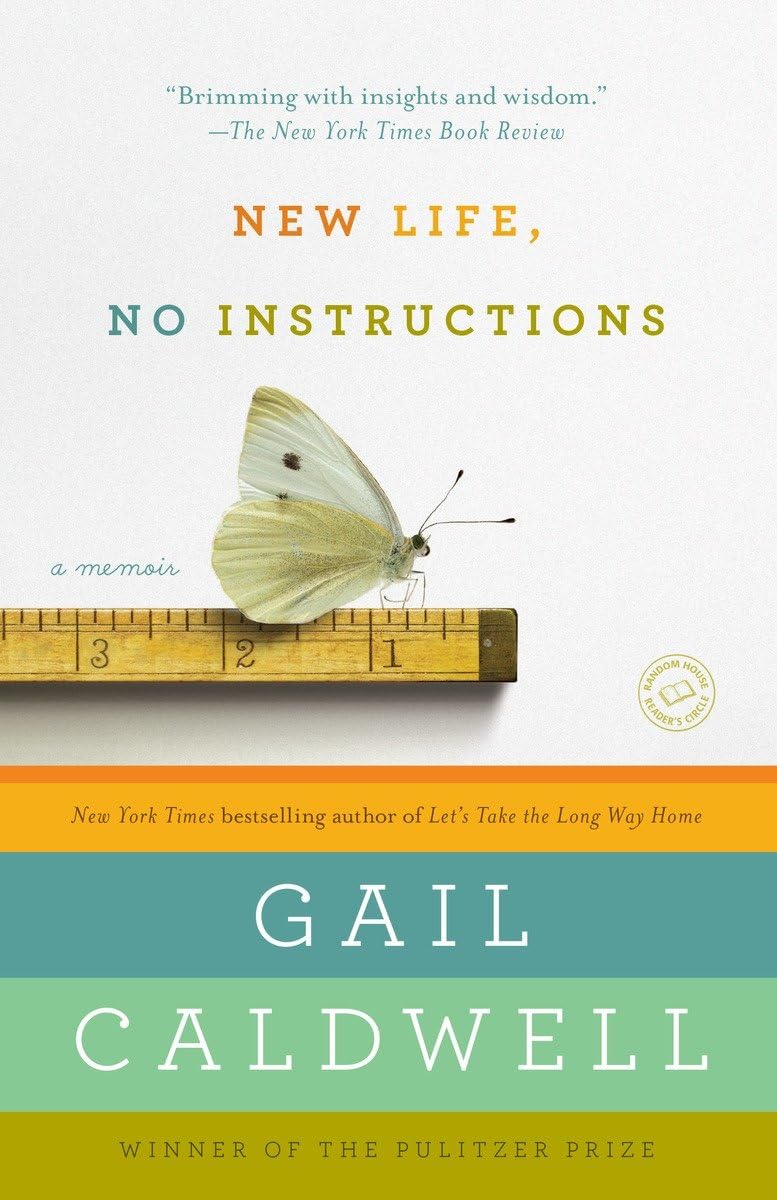 New Life, No Instructions: A Memoir,New