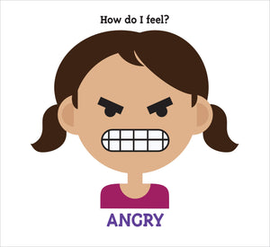 Mood Flip Book  Help Kids to Identify and Manage Their Emotions,Used