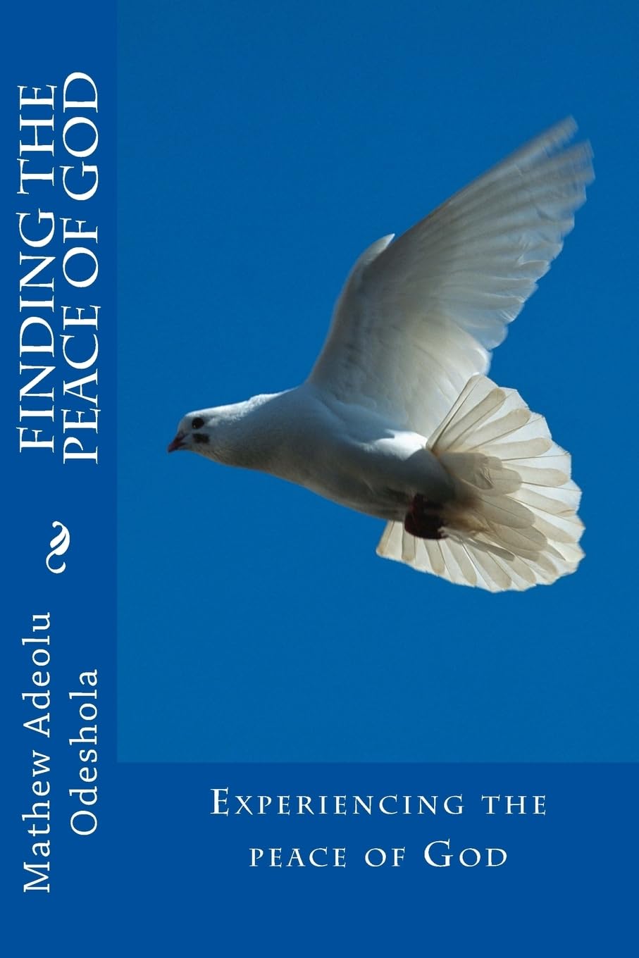 Finding the Peace of God: Experiencing the peace of God,Used