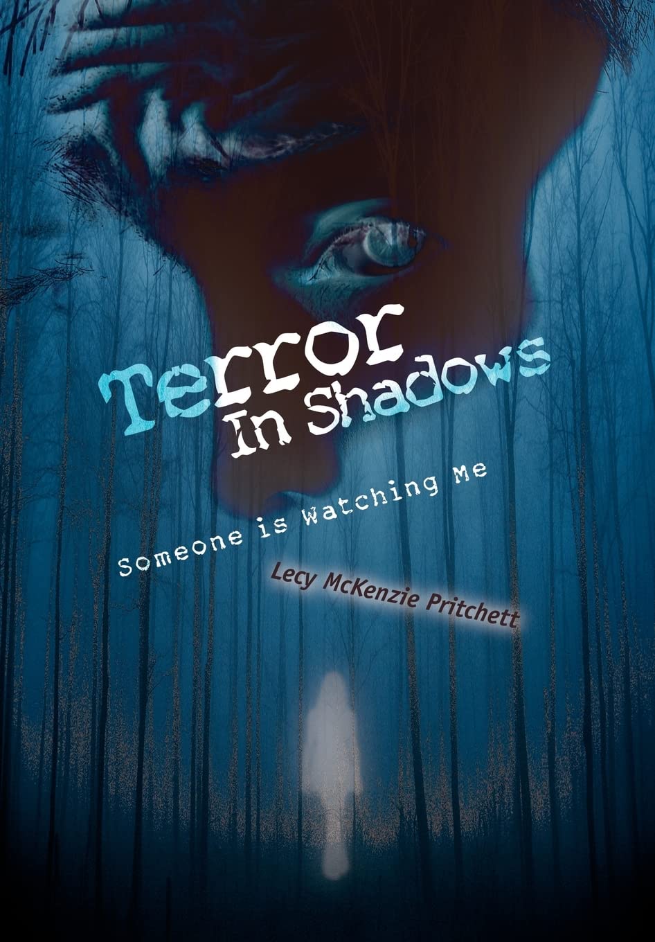 Terror In Shadows: Someone is Watching Me,Used