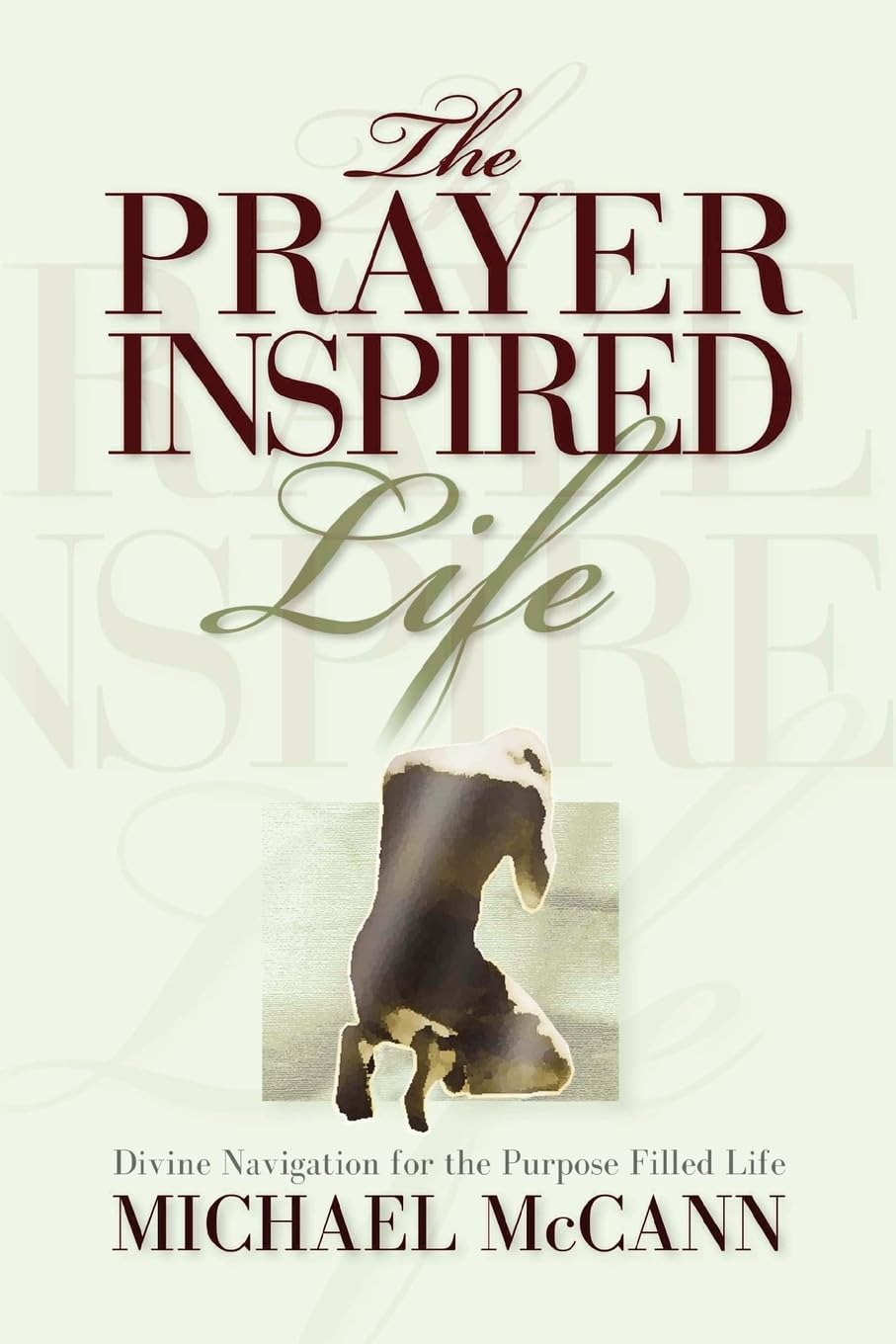 The Prayer Inspired Life,Used