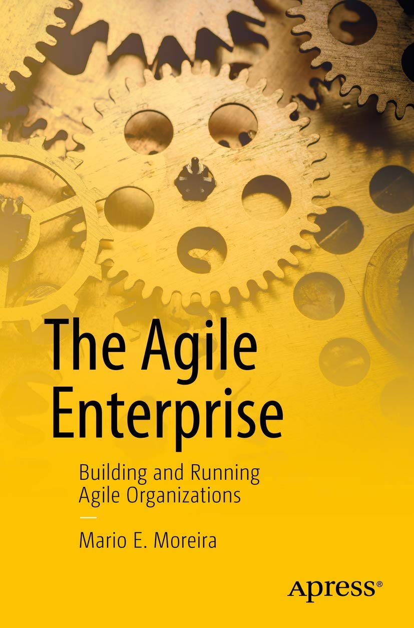 The Agile Enterprise: Building and Running Agile Organizations,Used