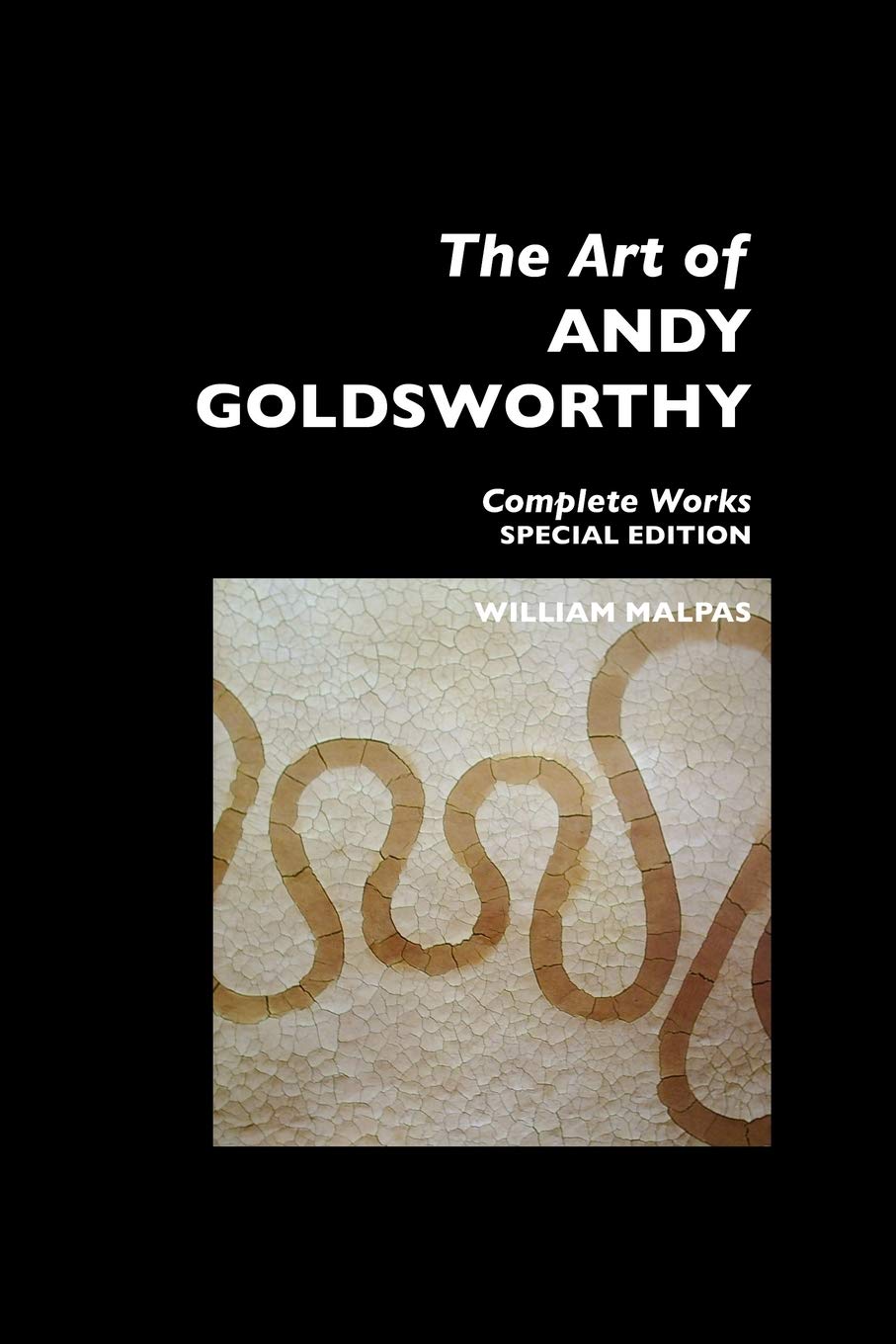 The Art of Andy Goldsworthy: Complete Works: Special Edition (Sculptors),Used