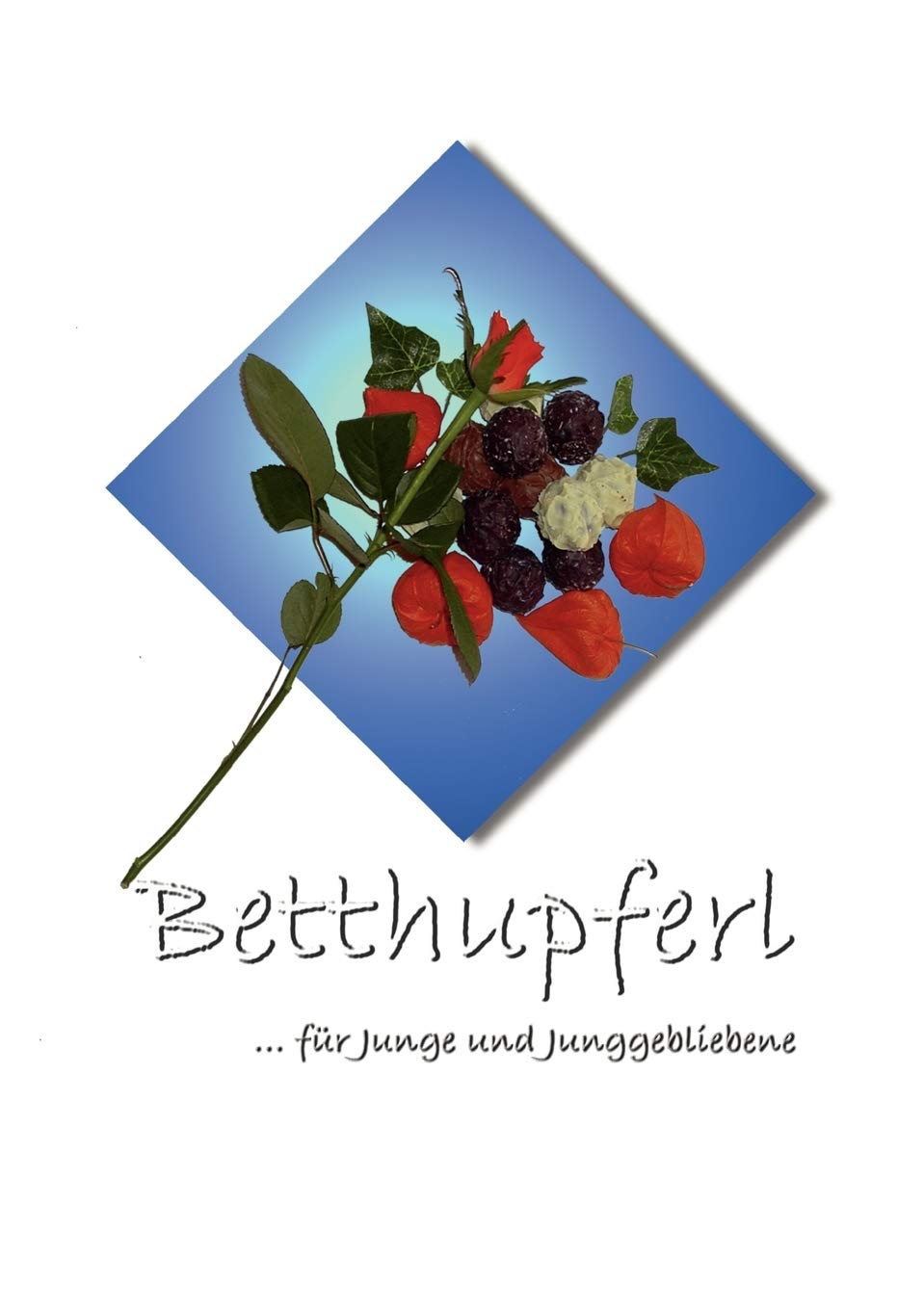 Betthupferl: Gutenachtgeschichten fr Junge und Junggebliebene (German Edition),Used